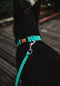 Hondenhalsband Dingo 14763 37 cm 61 cm