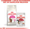 Royal - Canin Savour Exigent - Kattenvoer - 2 kg