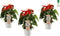 Trio Anthurium
