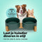 Jake & Jacky Voerbak Hond en Kat Keramiek - Dubbele Eetbak met Standaard - 2x 800 mL - Groen (2 stuks)