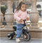 Qplay Stager - Driewieler 3-in-1 - Opvouwbaar - Bruin
