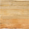 vidaXL - Tafelblad - met - natuurlijke - rand - 40x40x2,5 - cm - massief - mangohout