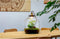 Growing Concepts Hebe Lamp 47cm / 34cm / Botanisch