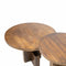 Liviza Side table Plus set of two