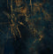 Melli Mello Golden Thunder Wall Mural Dark Blue