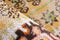 Short pile carpet Kuekene