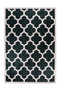 Short pile carpet lanai