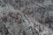 Mottled short pile rug