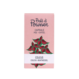 Prêt à Pousser - Coleus Pod