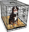 Gopets Hondenbench Opvouwbaar XL - Hondenbench - Incl. Hondenkussen - 2 Deuren - 107 x 71 x 76 cm