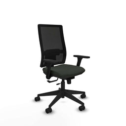 Piqueras y Crespo 3D066N0 - Bureaustoel - Verstelbare hoogte met armleuning - Zwart