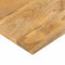 vidaXL - Tafelblad - rechthoekig - 70x40x2,5 - cm - massief - mangohout
