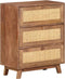 vidaXL - Dressoir - 61x35x76 - cm - massief - mangohout