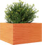 vidaXL - Plantenbak - 80x80x46 - cm - massief - grenenhout - wasbruin