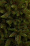 Triumph Tree Wyoming Kunstkerstboom - H230 x Ø165 cm - Groen