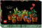 LEGO Icons Miniplantjes - Bouwset voor volwassenen - 9 modelplanten - Terracottakleurig