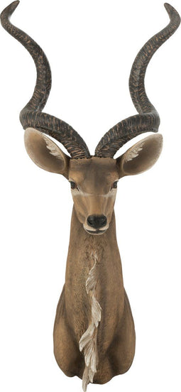 J-Line wanddecoratie Antilope Kop - polyresin - bruin