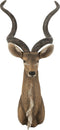 J-Line wanddecoratie Antilope Kop - polyresin - bruin