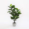 Mica Decorations Ficus Lyrata - Kunstplant - H120 x Ø60 cm - Groen
