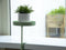 Esschert Design Plantenblad met klem rond S groen