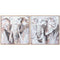 Schilderij Home ESPRIT Wit Bruin Grijs Olifant Koloniaal 80 x 3,5 x 80 cm (2 Stuks)