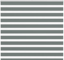 vidaXL - Zebra - rolgordijn - 160x100 - cm - stofbreedte - 155,9 - cm - donkergrijs