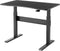Bureau zit sta - laptop computertafel - in hoogte verstelbaar - 120 x 67.5 cm