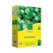Dichondra - BHS - 300 g | 25 m² | Mild klimaat | Zaden verrijkt met organische meststof | Snelle...