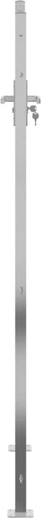 vidaXL - Poort - 100x180 - cm - roestvrij - staal