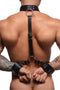 Neck to Wrist Restraints