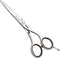 Scissors Fama Fabré Jaguar GOLD Kamiyu 575