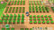 Nintendo - Story of Seasons: Friends of Mineral Town - Nintendo Switch Remake - Simulatie (3 jaar)