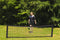 AXI multifunctioneel Sportnet - 300x80cm - Voor voetvolley tennis rebounder - Zwart