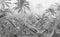 Komar - Fotobehang - Amazonia - Black - and - White - 400x250 - cm