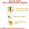 Royal Canin French Bulldog - Adult - Hondenbrokken - 9 KG