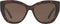 Ralph Lauren Brown Zonnebril RL817554500373