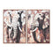 Schilderij Home ESPRIT Bruin Grijs Olifant Koloniaal 60 x 3,5 x 90 cm (2 Stuks)