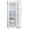Siemens GS33NVWEP - Vriezer - noFrost - bigBox