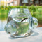 Weltevree | Local Habitat Terrarium | Terrarium Planten en Insecten | Ecosysteem Glazen Kom | Vaas
