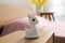 Dhink Hert Nachtlamp Oplaadbaar met Timer, Dimmer en Tapfunctie– Multi kleur en Wit licht