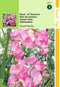 2 stuks - Hortitops - Lathyrus Odoratus Royal Family Rose