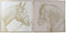 Schilderij Home ESPRIT Beige Gouden Purpurine Paard 103 x 4,5 x 103 cm (2 Stuks)