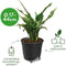 Elho Self-watering Insert 44 - Binnenpot met watermeter - Ø 42.8 x H 39.0 cm - Living black