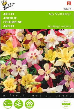 2 stuks - Buzzy - Aquilegia hybrida Mrs Scott Elliott