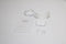 APPLE AirPods Pro (2e generatie) - In-ear - ANC - USB-C - Bluetooth 5.3