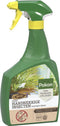 Pokon Bio - Tegen Hardnekkige Insecten Spray - 800ml - Zichtbaar effect binnen 24 uur - Bestrijdt wolluizen dopluizen schildluizen spintmijten