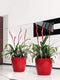 LECHUZA CLASSICO PREMIUM LS 50 - Plantenbak - met uitneembare binnenbak - met bewateringssysteem - scharlakenrood hoogglans