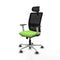 Piqueras y Crespo 1B086G2 - Bureaustoel - Verstelbare hoogte 50-62 cm - Pistache