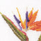 Thea Gouverneur - Borduurpakket met telpatroon - 3081A - Voorgesorteerde DMC Garens - 6 Bloemportretten - Aida - 6 cm x 17 cm - DIY Kit