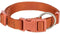 Trixie Premium Hondenhalsband – M-L – Roest – Verstelbaar – 35 cm